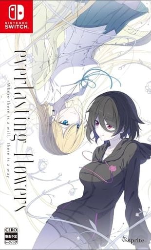 everlasting flowers